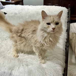 Fundraising Page: Julie Bigam